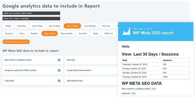 Raport WP meta SEO 