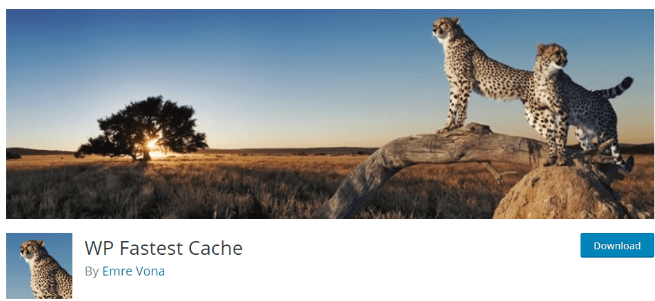 Bộ nhớ cache nhanh nhất WP