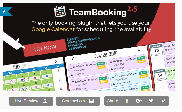 Team Booking plugin
