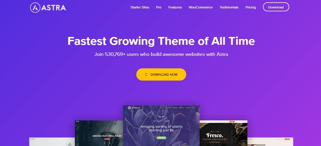 astra wordpress theme