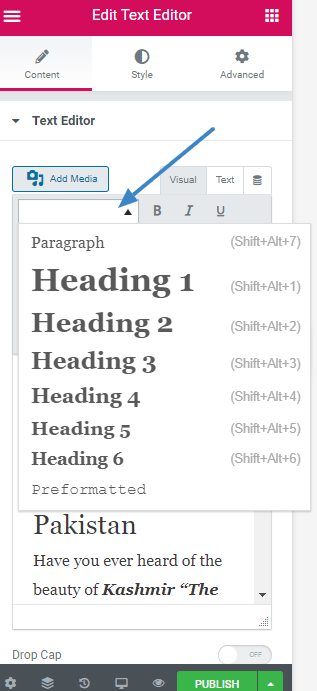 valde ett format för din text med elementor-textwidgeten