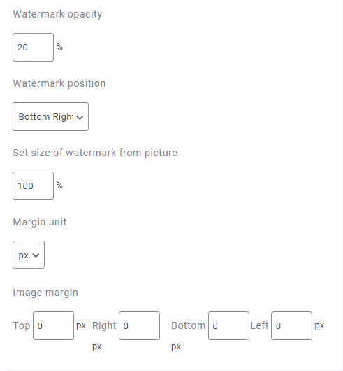 Watermark Settings